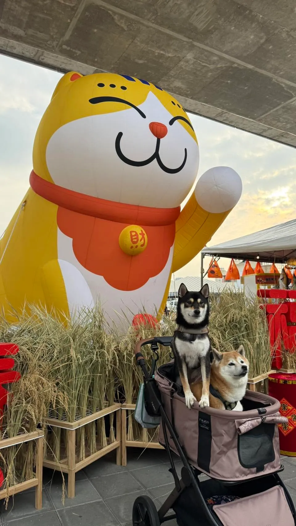 屏東新聞 - 屏東西市場藝人熱力開唱 NEKO MARKET蹓毛小孩