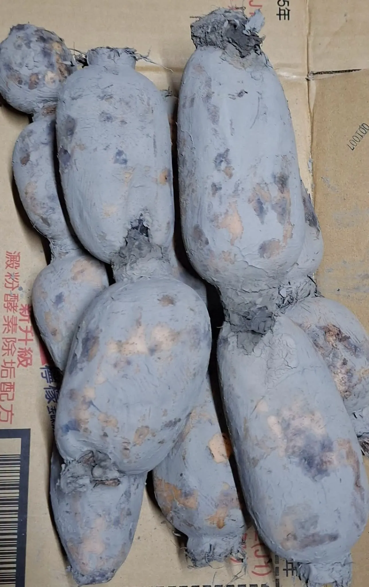 屏東新聞 - 蓮藕在秋天季節性吃身體運氣有好的磁場 長治農會生鲜超市屏東仁爱路 勝利路口有平價販售