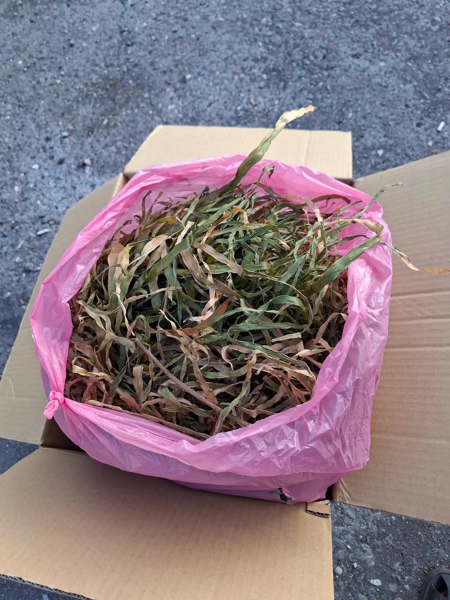 屏東新聞 - 網路好友有情有義 陌生世界也有令人感動的真心